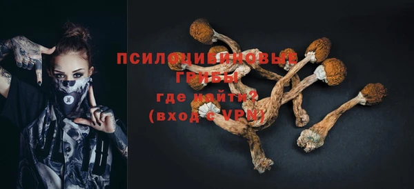 дмт Елабуга