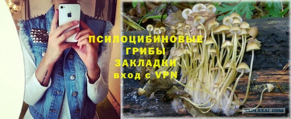 амфетамин Заводоуковск