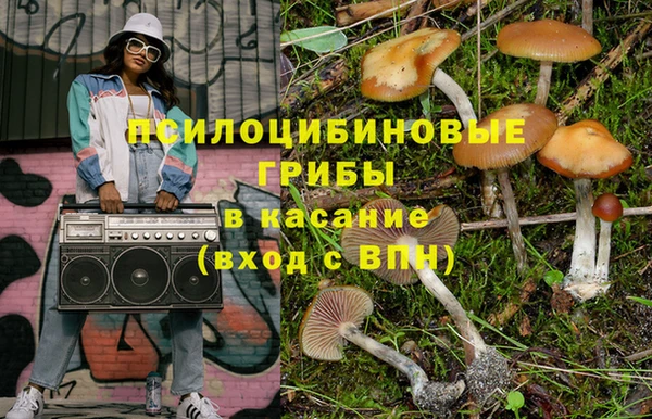 спиды Елизово
