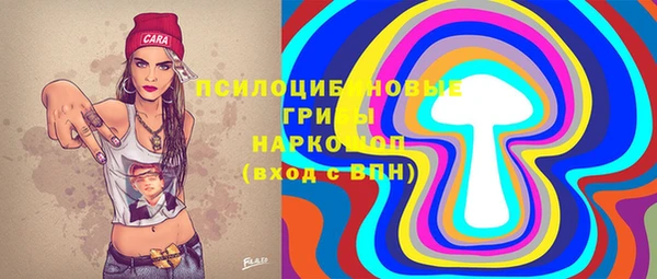 спиды Елизово