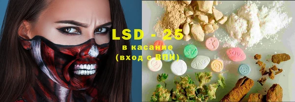 прущие грибы Беслан