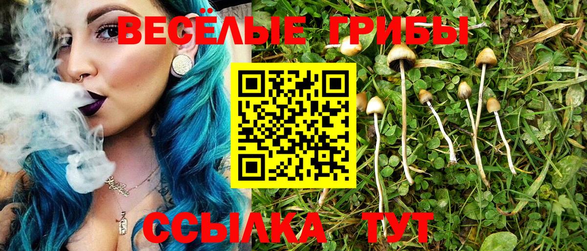 Псилоцибиновые грибы мицелий  Галлюциногенные грибы GOLDEN TEACHER  Ефремов  купить закладку  Вход с VPN 